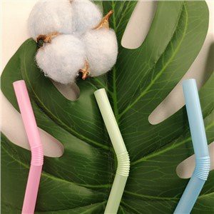 Compostable Drinking Straws