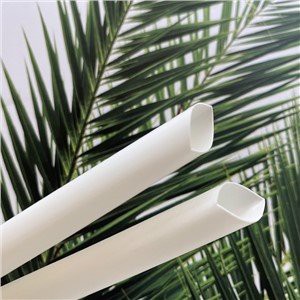 Straws Biodegradable