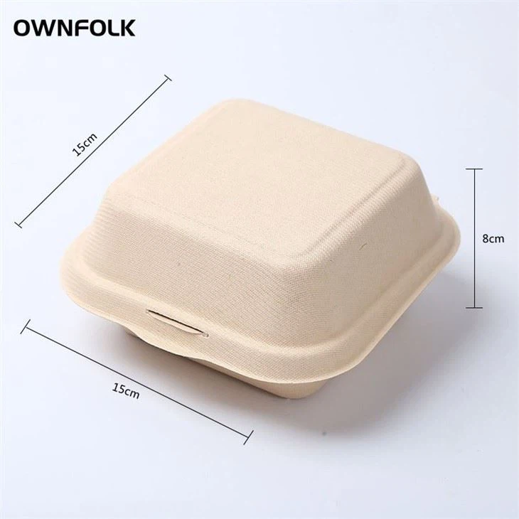 eco friendly disposable bento box