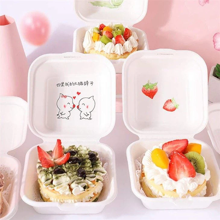 biodegradable lunch containers