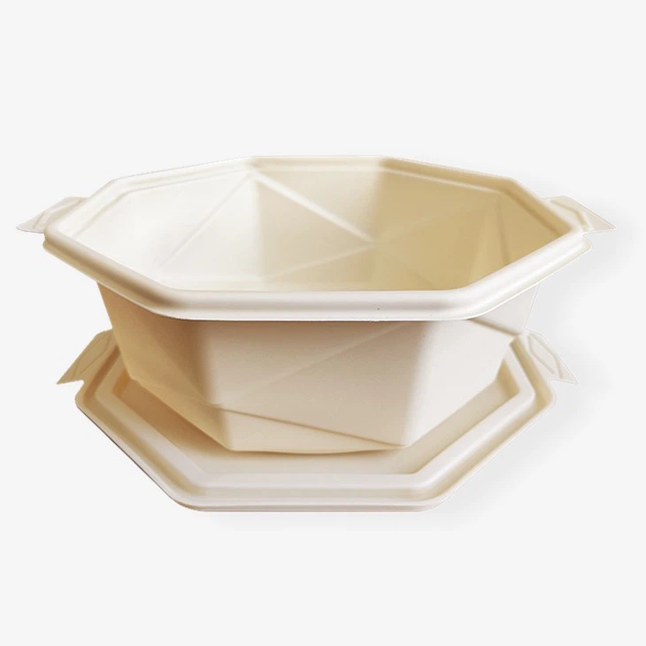 biodegradable food containers with lids