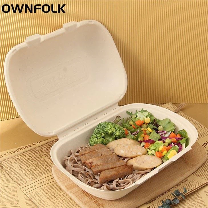 eco friendly disposable lunch boxes