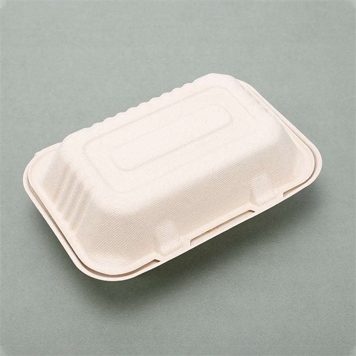 tiffin box disposable