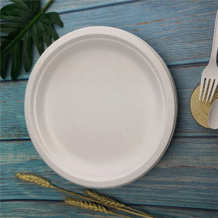 thanksgiving paper plates
