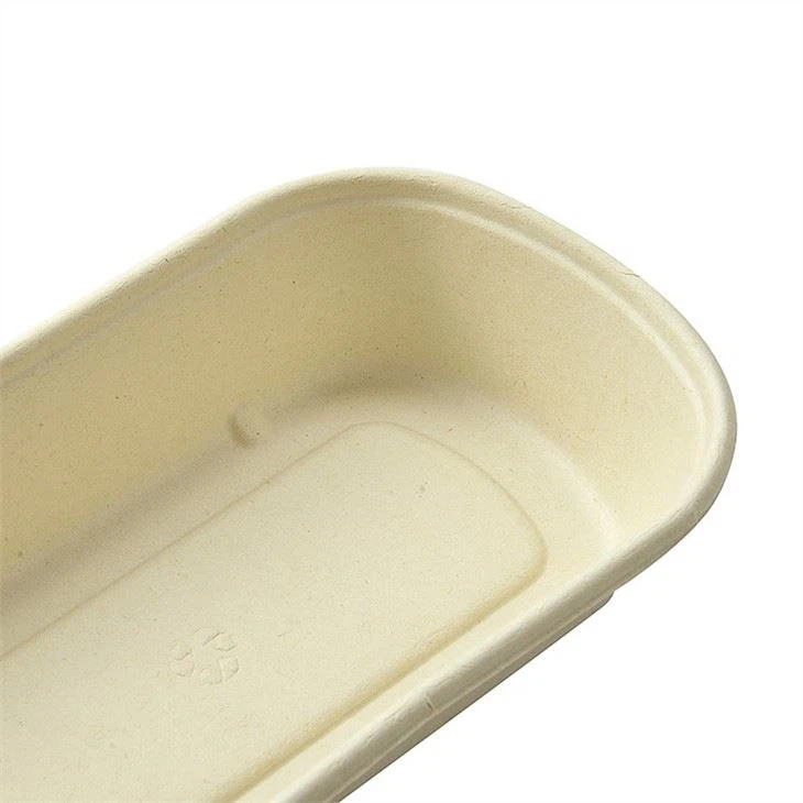 salad packag box China's best wholesaler