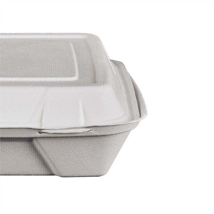biodegradable packaging for food