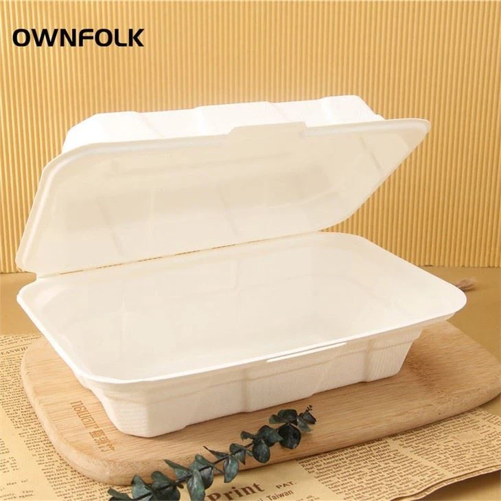 Lunch Packing Box Disposable