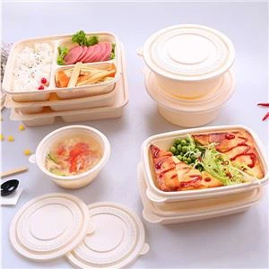 Biodegradable Food Container
