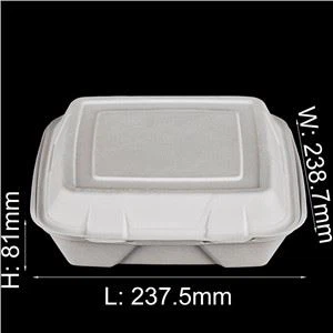 Biodegradable Takeaway Food Containers With Lids
