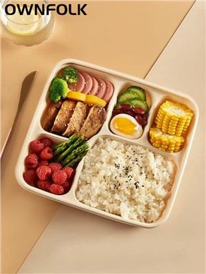5 compartment lunch box disposable