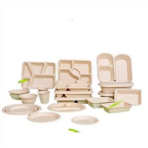 Multi-grid biodegradable lunch box