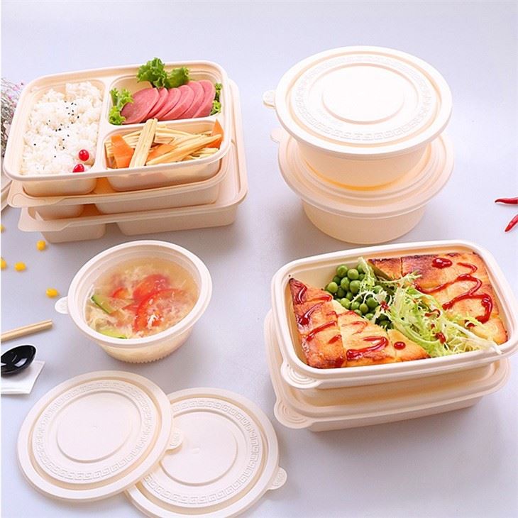 bio degradable plastics food box