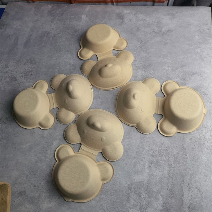 sugarcane food container