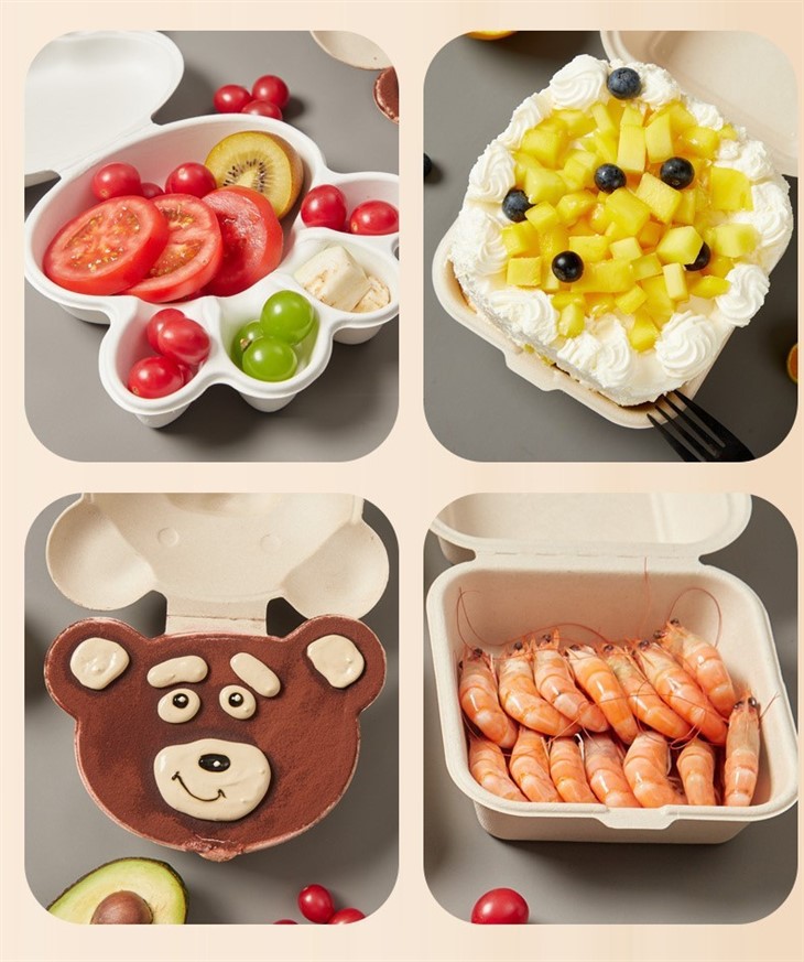 disposable food containers with lids