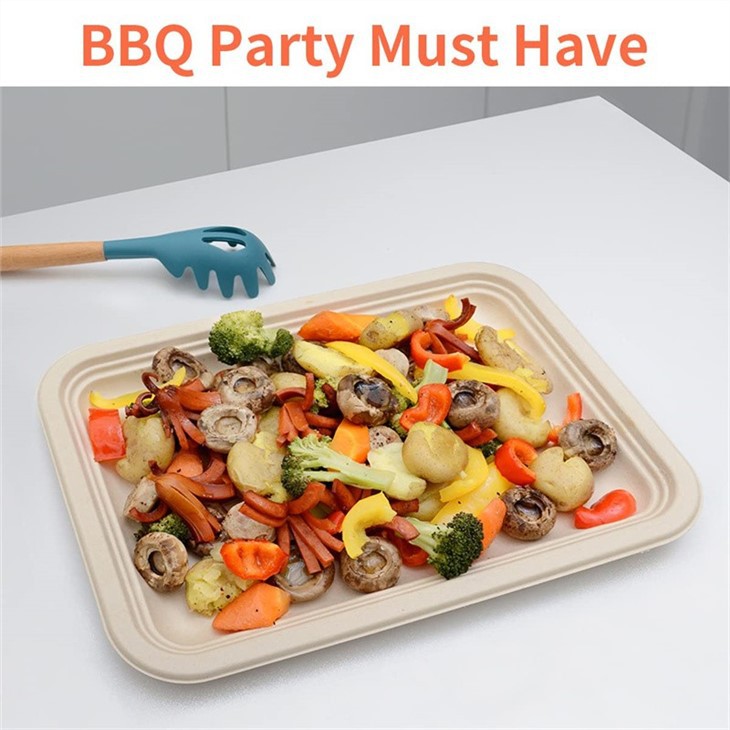 eco disposable tableware