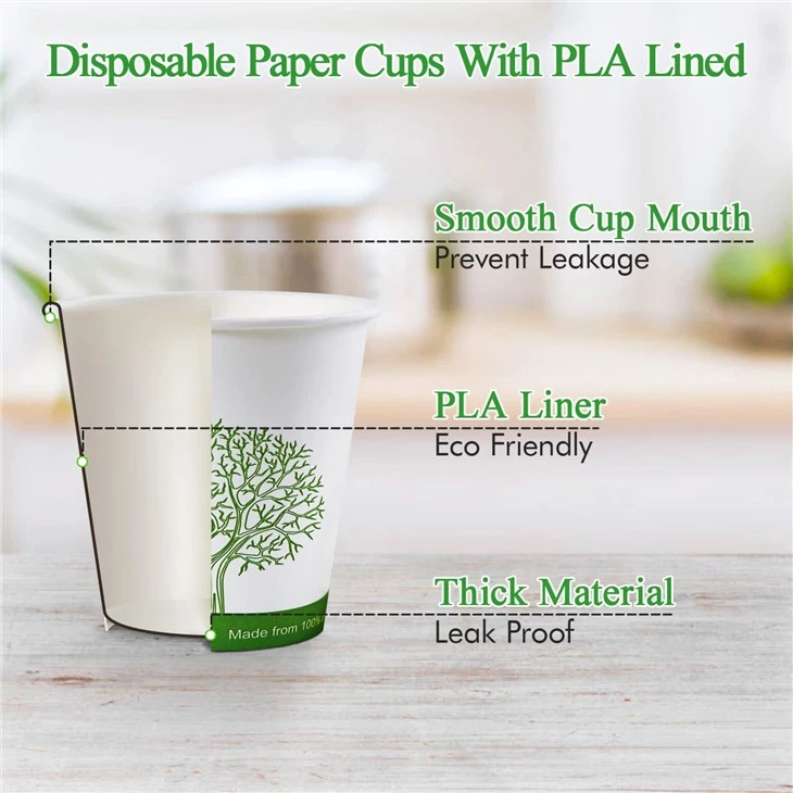 eco disposable coffee cups