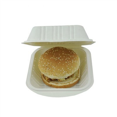Biodegradable Packaging Revolutionizes E-commerce in Europe in 2023