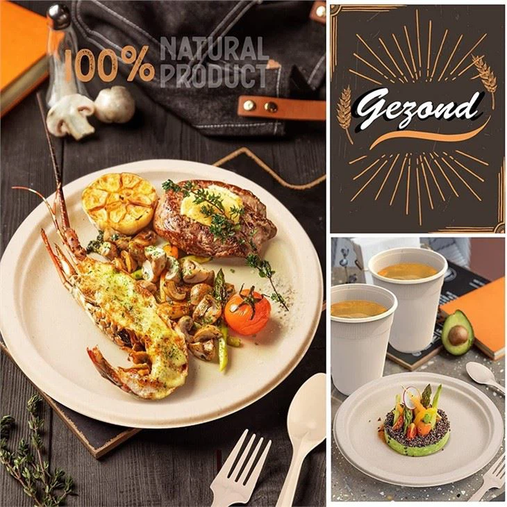 recycled paper plates and cutlery