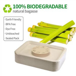 Biodegradable rectangular paper plate