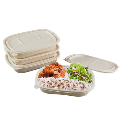 Compartment Disposable Lunch Box
